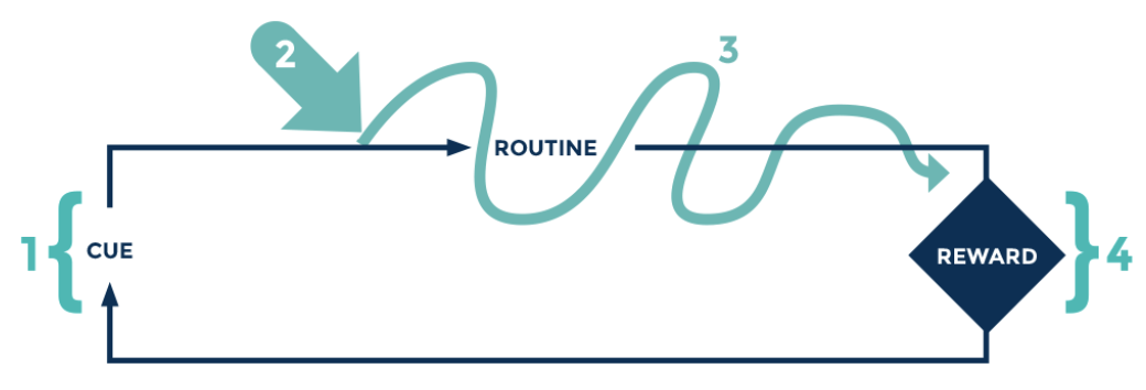 Habit Loop used to help understand user behavior